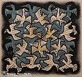 VBS_4945 - Mostra Escher
